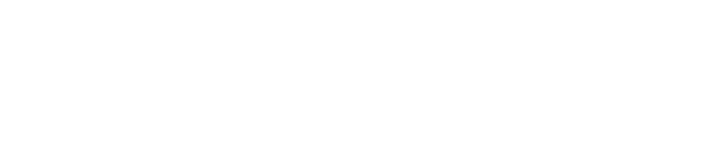 Wordmark on dark